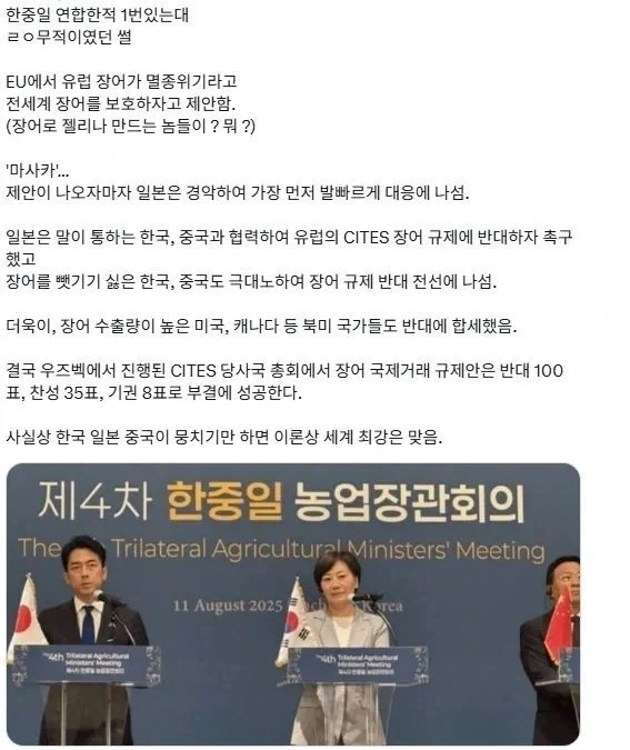 한중일이 연합하는 방법