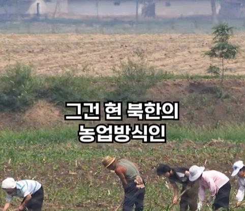 북한의 과학자가 탈북한 이유.jpg - 이미지 10
