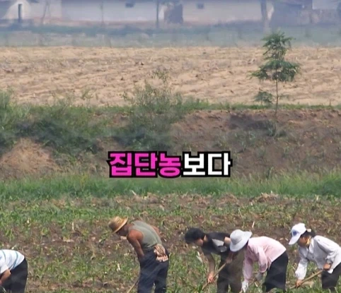북한의 과학자가 탈북한 이유.jpg - 이미지 11