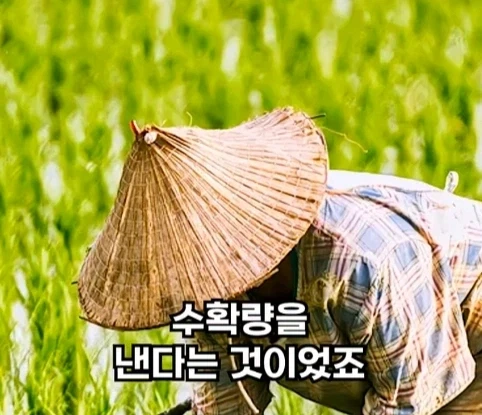 북한의 과학자가 탈북한 이유.jpg - 이미지 13
