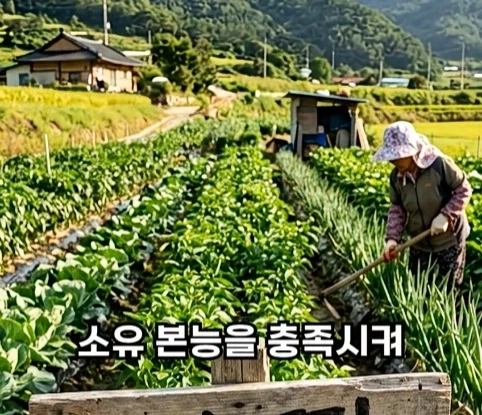 북한의 과학자가 탈북한 이유.jpg - 이미지 19