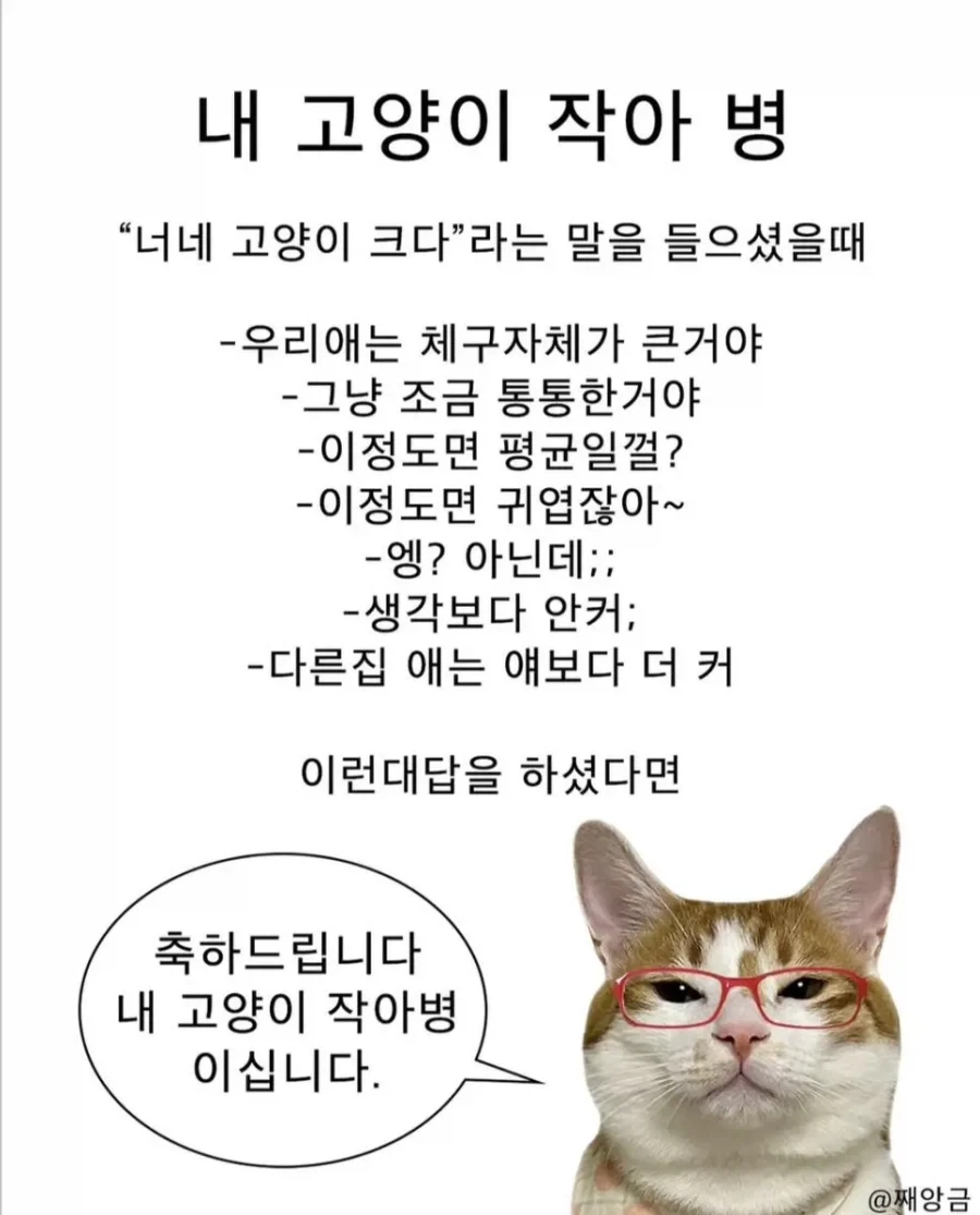 고양이 집사들이 많이 걸린다는 내 고양이 작아병