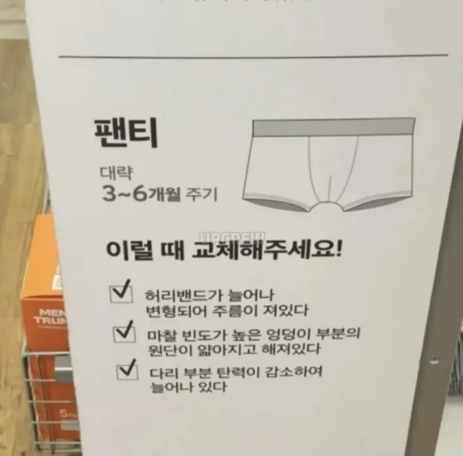 전문가들이 말하는 팬티 교체주기