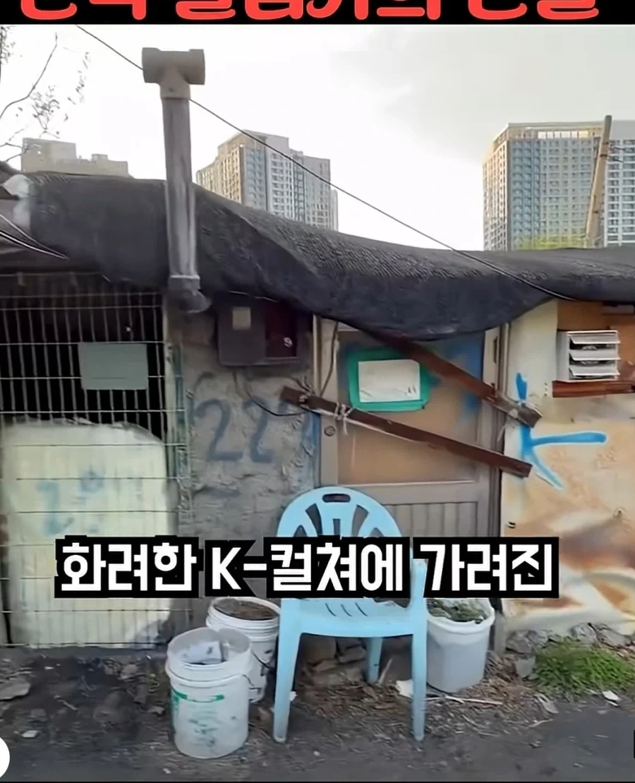 한국의 슬럼가를 방문한 유튜버 - 이미지 2