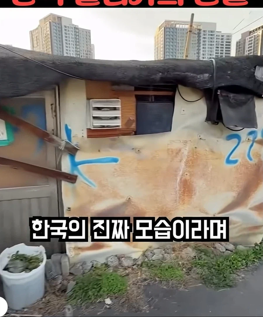 한국의 슬럼가를 방문한 유튜버 - 이미지 3