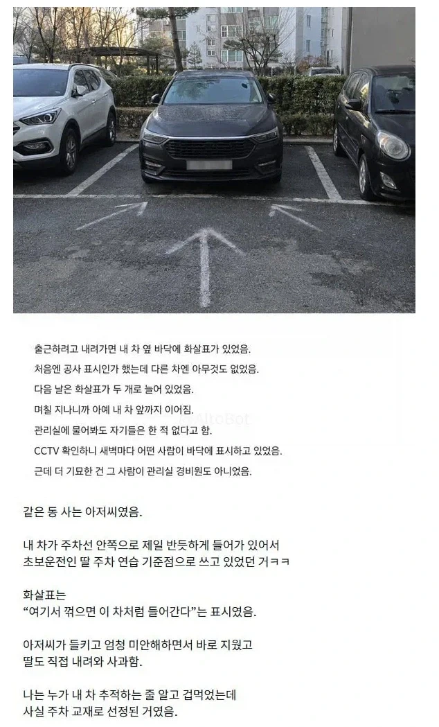 박제된 아파트 주차.