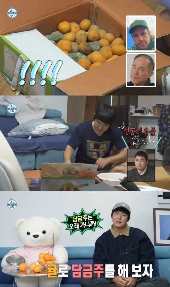 방송에서 과일로 술 만드는 사람