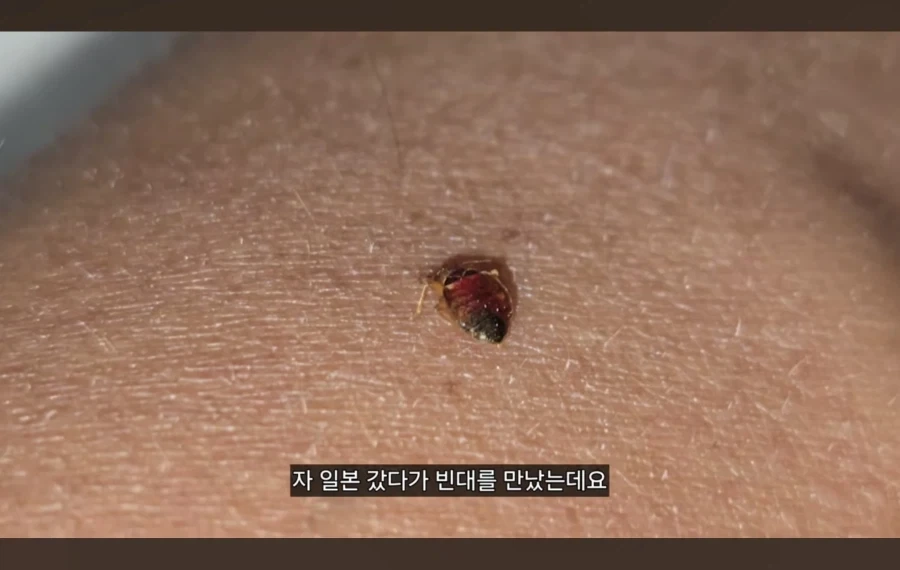 쩔템 영상 시작부터 개쩌네