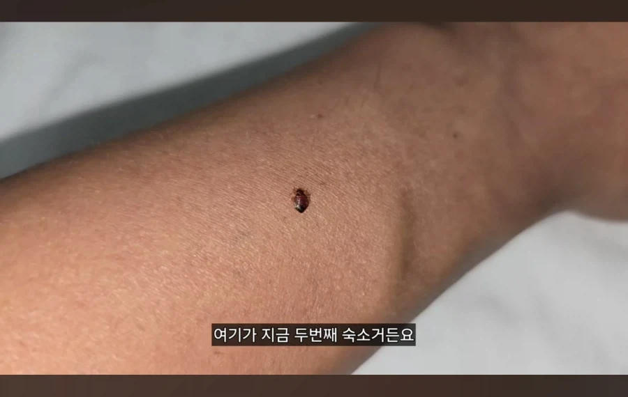 쩔템 영상 시작부터 개쩌네 - 이미지 2