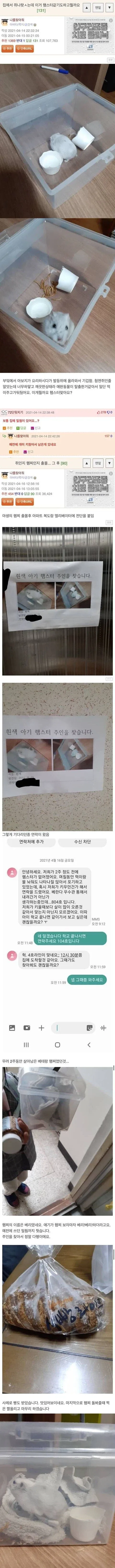 집에서 쥐가 나왔는데 햄서터 같아
