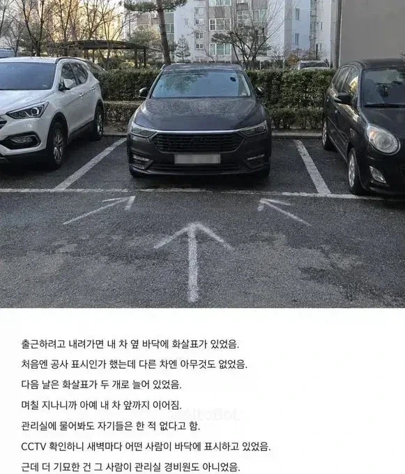 아파트 주차한 차앞에 누가 매일 분필로 화살표 그려놓음...