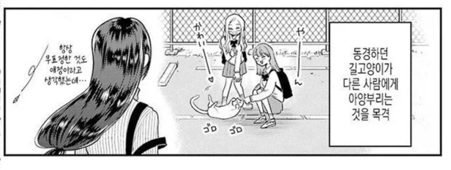 신개념 NTR