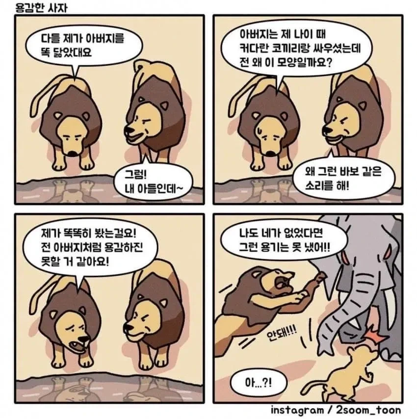 용감한 아빠사자