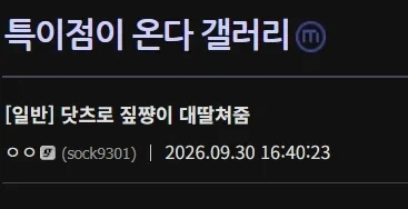 GPT 신규서비스 dots로 딸친새끼 등장