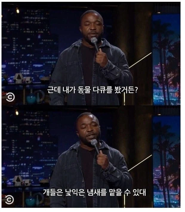 개를 잃어버린 사람을 안 도와주는 이유 - 이미지 4