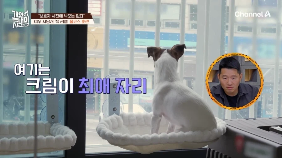 강형욱도 모르는 반려견 제품 - 이미지 3