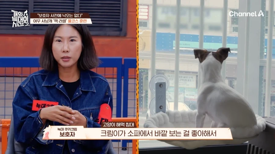 강형욱도 모르는 반려견 제품 - 이미지 5