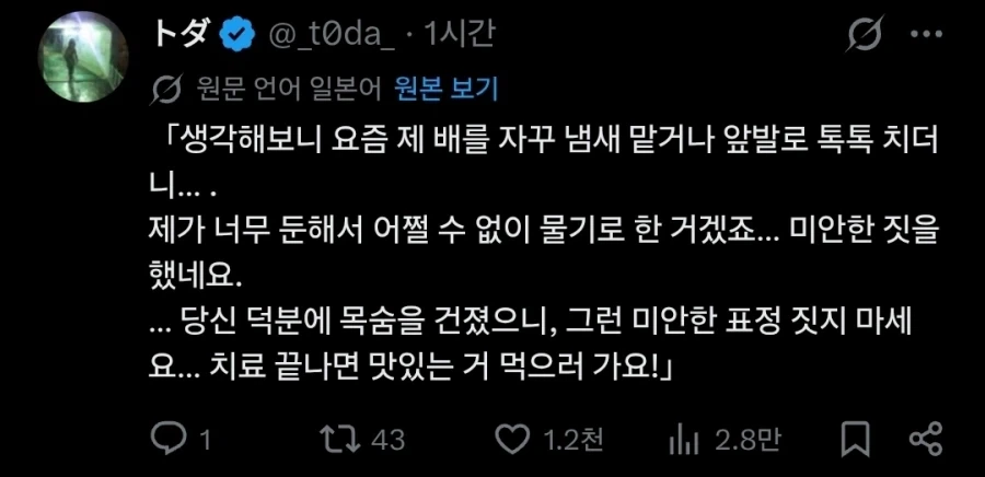 오랜시간 함께 지냈던 포켓몬에게 물려버렸다.twit - 이미지 2