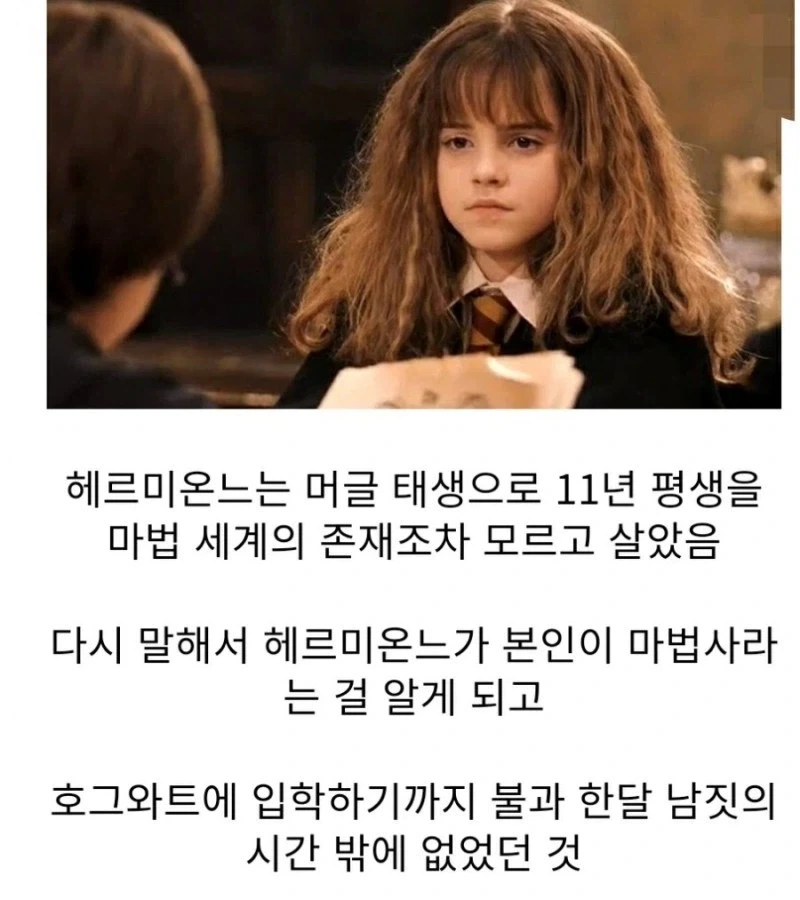 해리포터) 머글 부모님을 둔 학생의 흔한 스펙