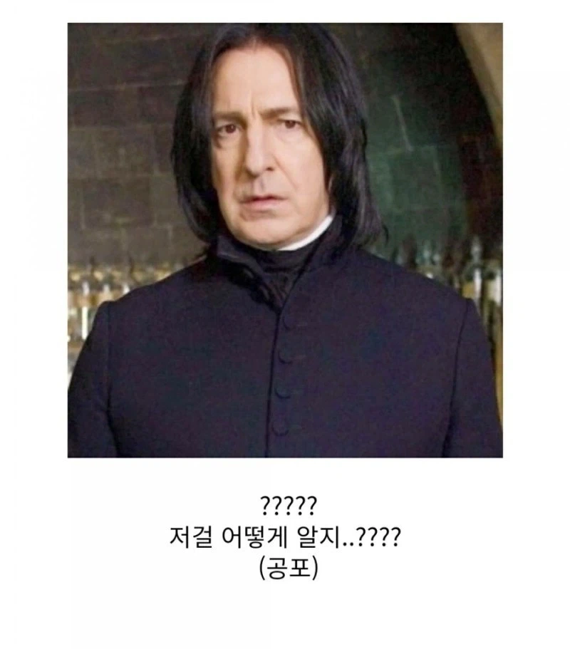 해리포터) 머글 부모님을 둔 학생의 흔한 스펙 - 이미지 3