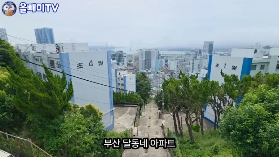 부산의 50년된 달동네 아파트 클라스.jpg - 이미지 3