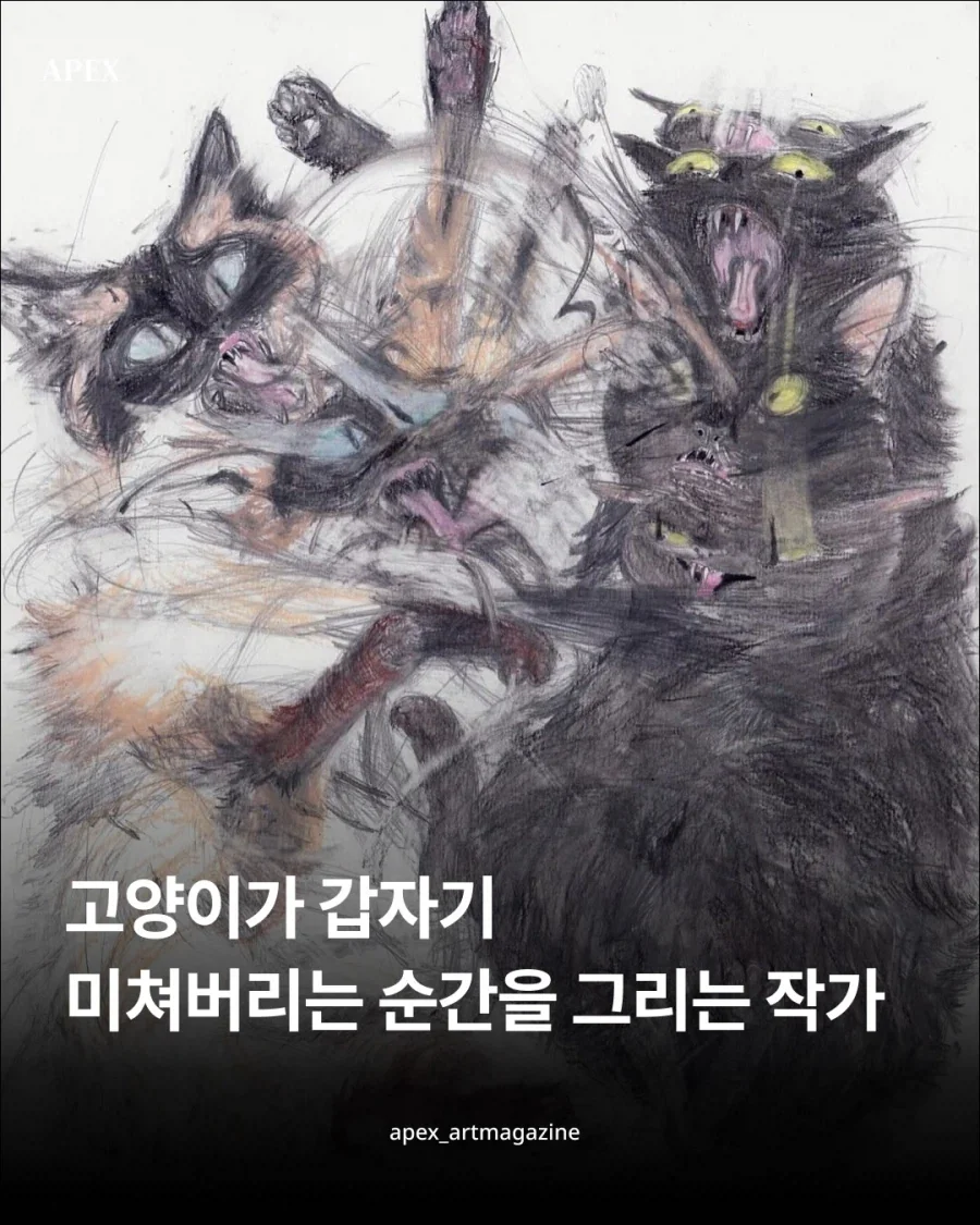 프랑스 작가의 고양이 그림