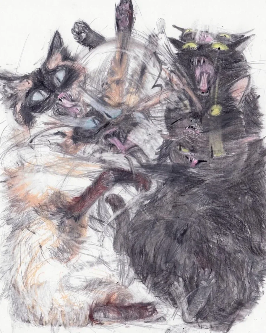프랑스 작가의 고양이 그림 - 이미지 11