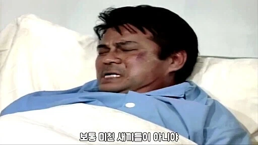 씹덕밈 흥행은 씹덕때문데 망하는게 많더라...