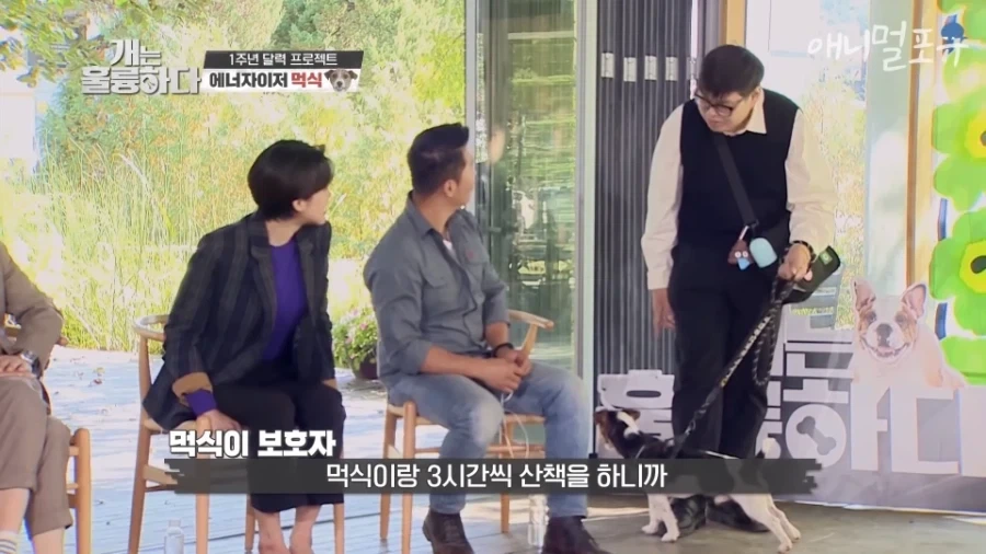 역대급으로 강형욱 솔루션 잘 들었던 사연자 ㄷㄷㄷ - 이미지 2
