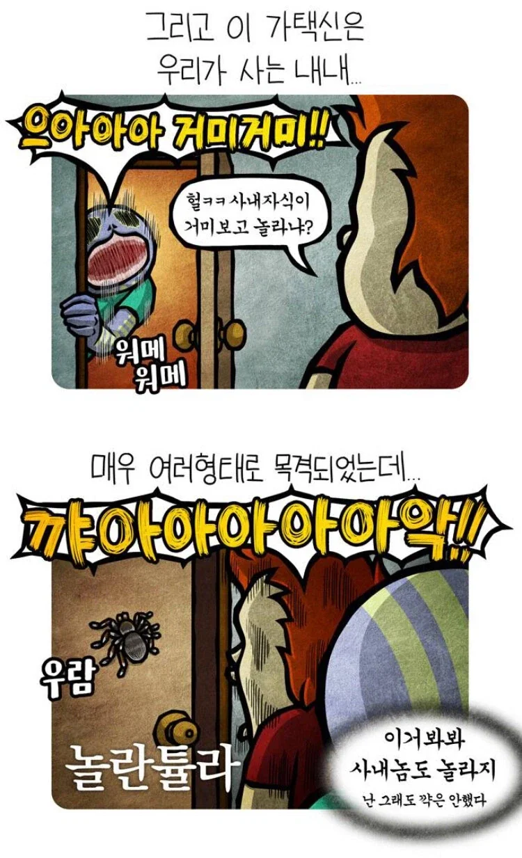 의외로 남자들이 호주에서 보면 놀라는 것