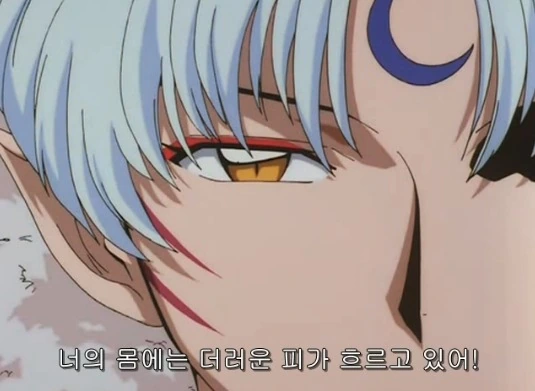 야샤히메) 이누야샤를 모르는 이들을 위한 간단 배경 설명 - 이미지 6
