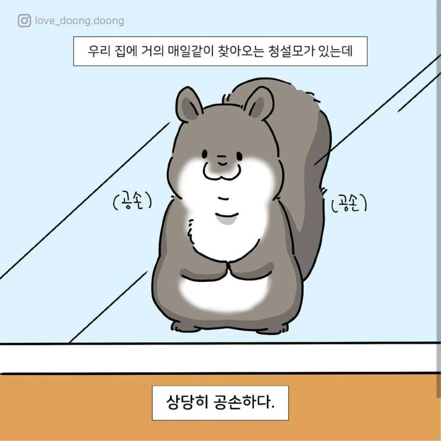 청설모가 노크하는 만화