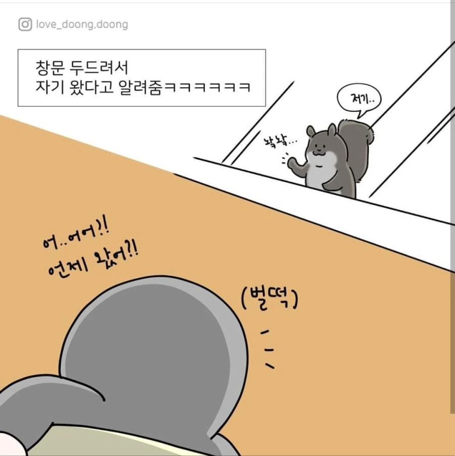 청설모가 노크하는 만화 - 이미지 2