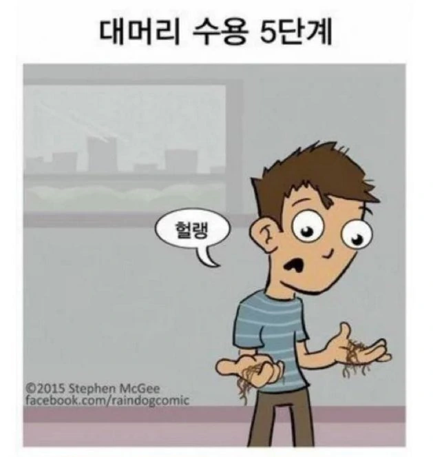 대머리 수용 5단계