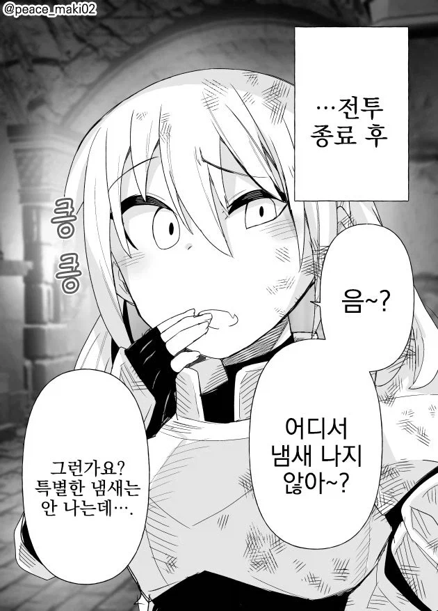 ㅁㅅㄱㅋ 팔라딘 만화 - 이미지 10