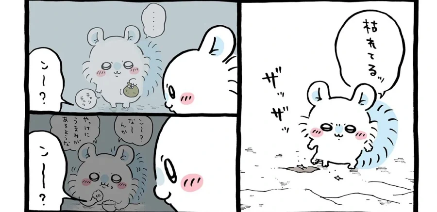 치이카와) 모몽가를 본 대부분의 사람들이 받는 반응과 모몽가의 진실 - 이미지 8