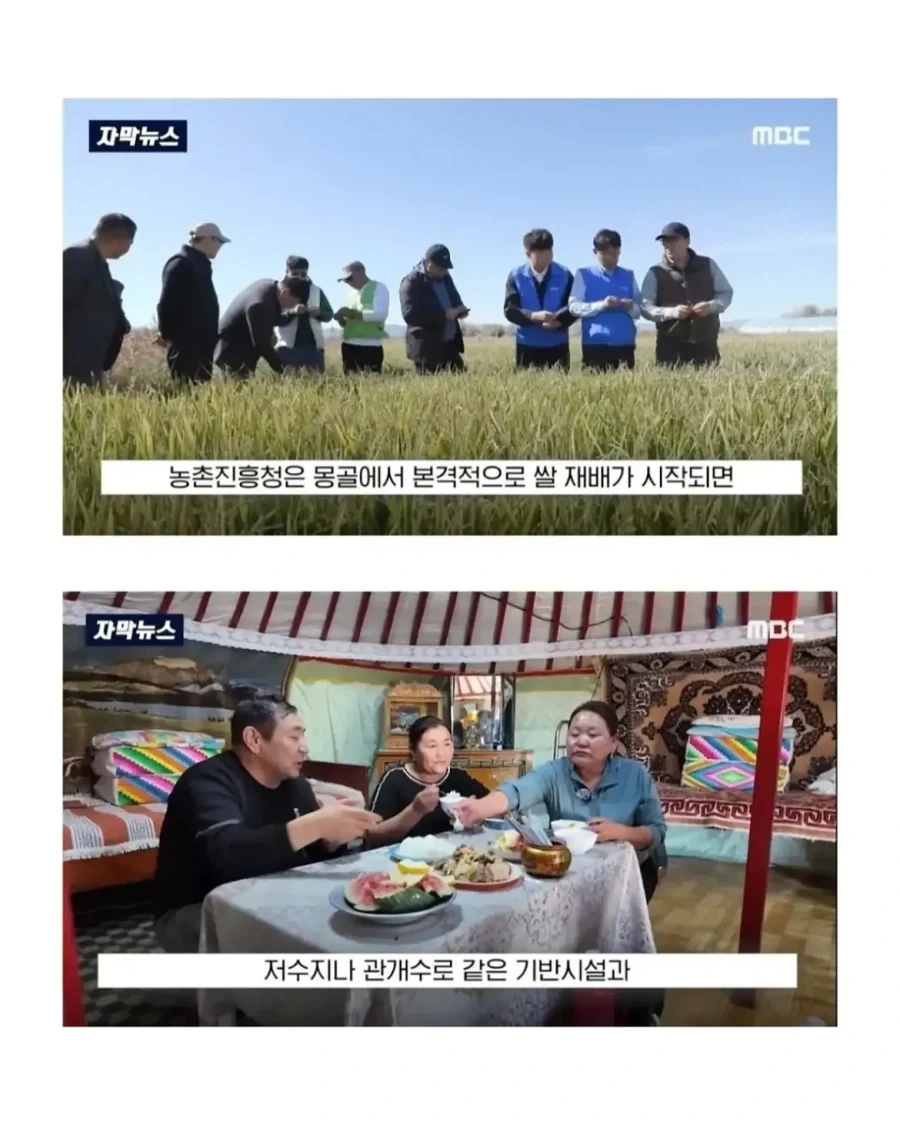 몽골이 한국을 좋아하는 이유.jpg - 이미지 12
