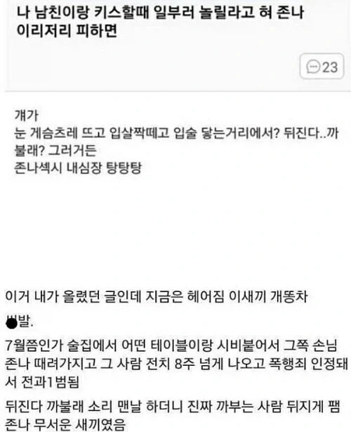 남친이 키스 하면서 혀 집어넣으면 장난 친다고 계속 피했던 여친.jpg