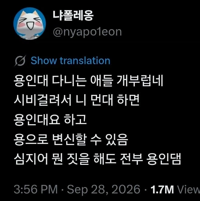 의외로 용인대 다니면 할 수 있다는 것.jpg