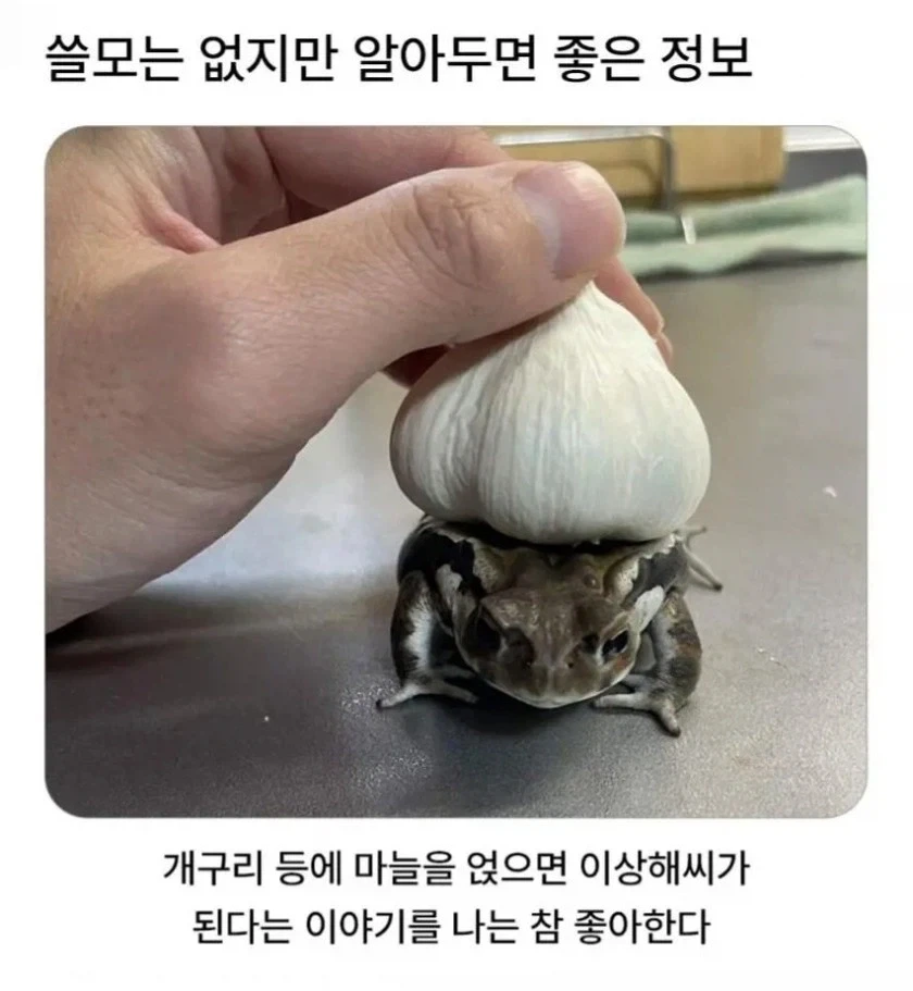 쓸모는없지만 알아두면 좋은정보
