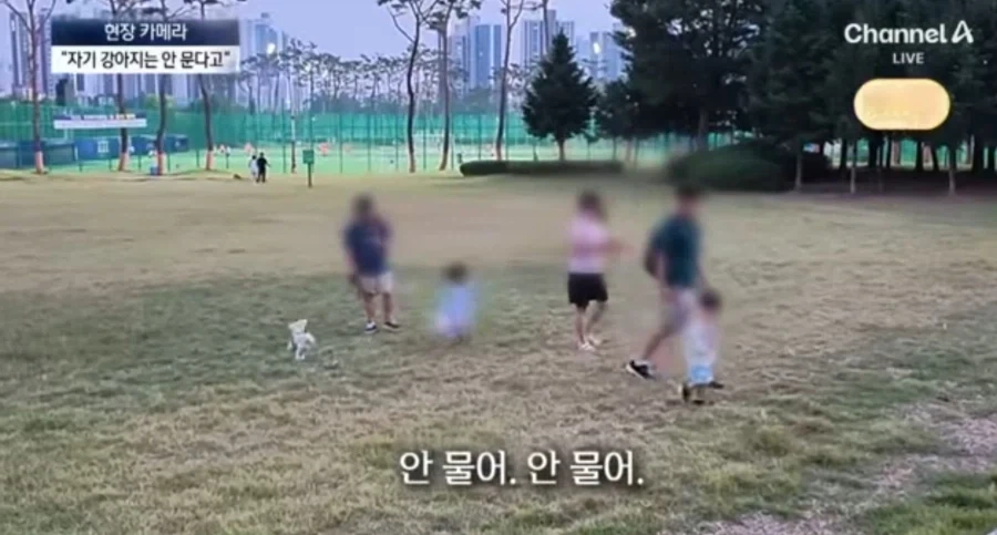 개빠년들은 여전히 ㅈ같은의미로 한결같네