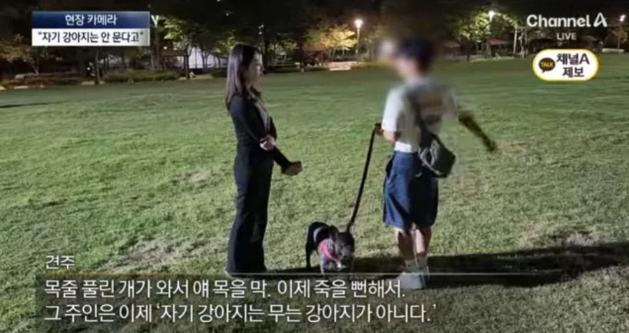 개빠년들은 여전히 ㅈ같은의미로 한결같네 - 이미지 2