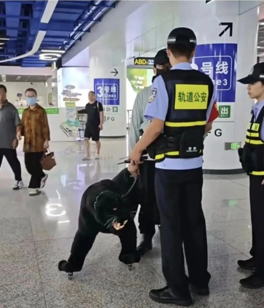 캐리어 때문에 공안이 출동한 사건