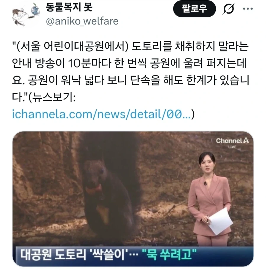 대공원 도토리 ‘싹쓸이’…“묵 쑤려고”