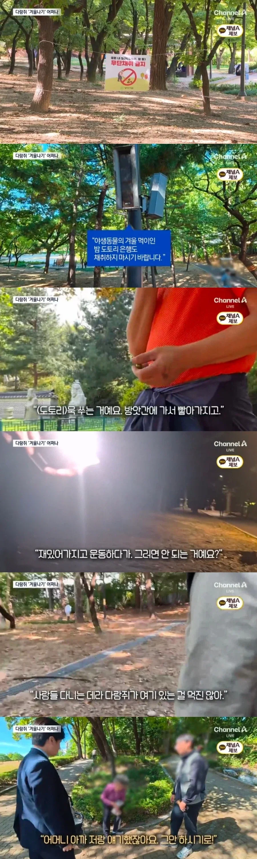 대공원 도토리 ‘싹쓸이’…“묵 쑤려고” - 이미지 2