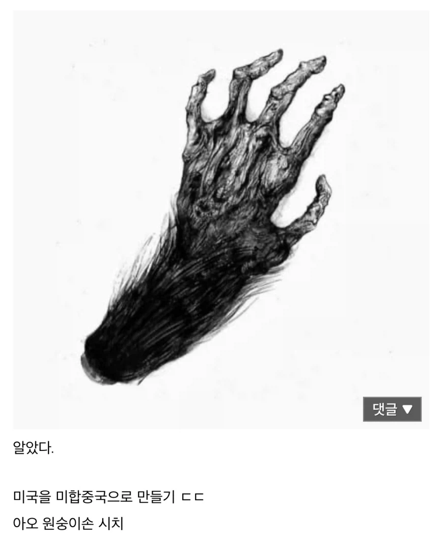 “중국이 여러개였으면 좋겠어요!”.jpg