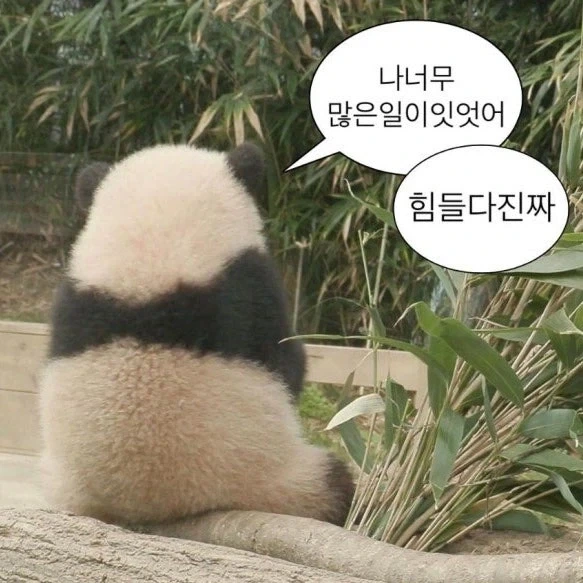 (나히아) 하루만에 이 모든 일이 일어났다. - 이미지 9