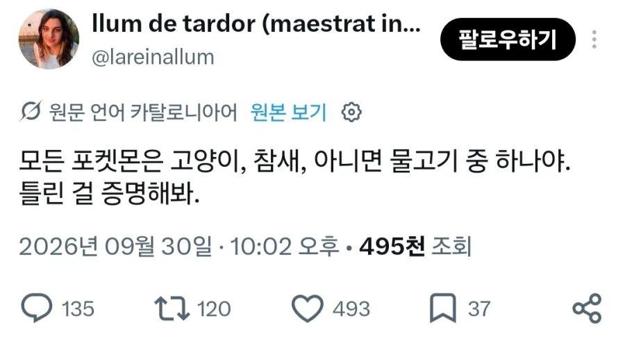 ???: 포켓몬은 고양이나 새 물고기뿐이잖아