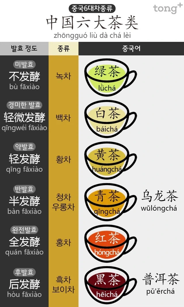 솔직히 중국차가 최고 아님?