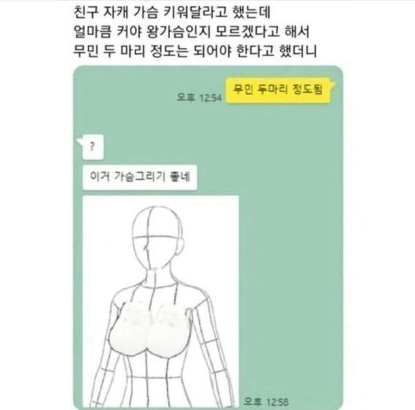 왕가슴 그리는 꿀팁.jpg
